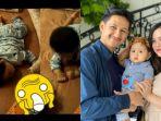 viral-rekaman-cctv-anak-tasya-kamila.jpg