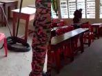 viral-ruang-kelas-dihuni-ular.jpg