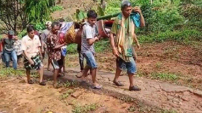 VIRAL Kembali, Warga Sakit di Pasaman Barat Ditandu Ramai-Ramai Menuju Puskesmas