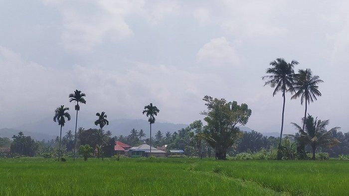 Kualitas Udara di Padang Memburuk, Warga Diminta Tidak Keluar Rumah dan Banyak Minum