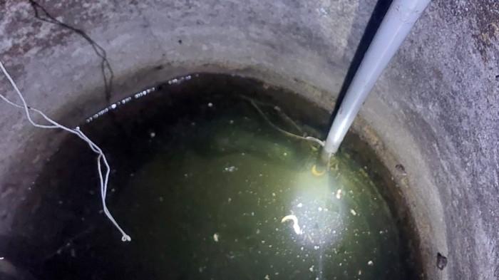 EVAKUASI ular di air tawar barat padang 7/11/2025