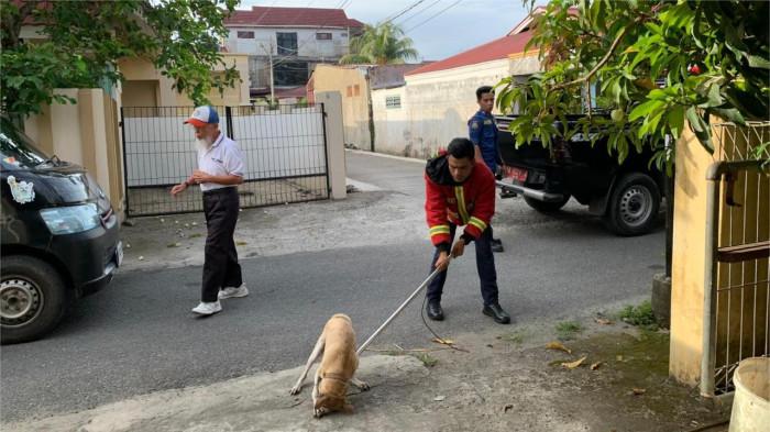 Damkar Padang Evakuasi Anjing Liar dari Rumah Warga di Parupuk Tabing