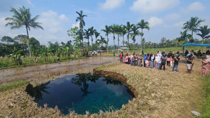 SINKHOLE- Fenomena alam berupa lubang misterius atau sinkhole atau lubang runtuhan tanah muncul di area persawahan milik warga di Jorong Tepi, Nagari Situjuh Batuah, Kabupaten Lima Puluh Kota, Sumatera Barat (Sumbar). (Aset: M Fajar Rillah Vesky).