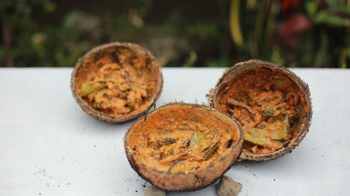 GULAI BELUT- Gulai Belut dalam Tempurung makanan khas Kampung Sarugo, Limapuluh Kota, Sumatera Barat, yang merupakan kuliner autentik Minangkabau yang hanya bisa ditemukan di desa wisata ini.