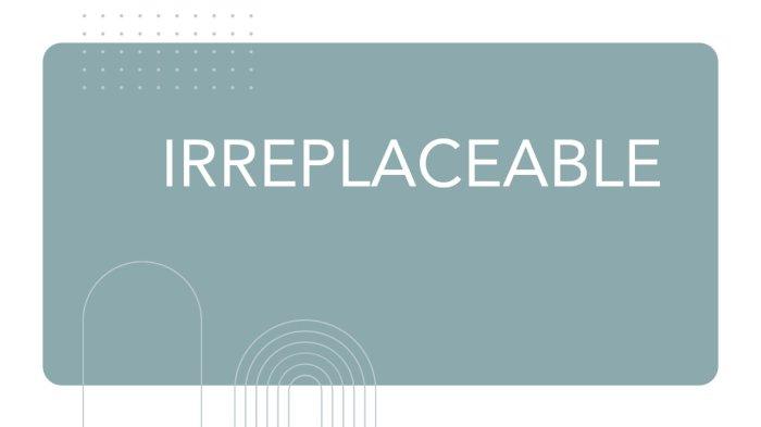 Arti Lagu Irreplaceable - Beyonce, Lirik:  Everything You Own in the Box to the Left