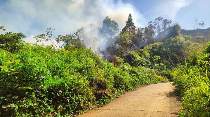 KEBAKARAN LAHAN KOSONG- Kebakaran lahan kosong terjadi di kawasan Jalan Batu Busuk, Kelurahan Lambung Bukit, Kecamatan Pauh, Kota Padang, Sumatera Barat, pada Minggu (2/11/2025) siang.