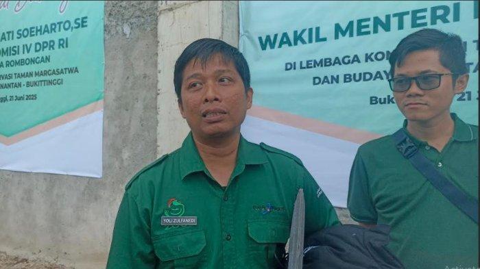 Sepasang Anak Harimau Lahir di TMSBK Bukittinggi, Lebih Sehat dan Gemuk dari Kakaknya Banun Kinantan