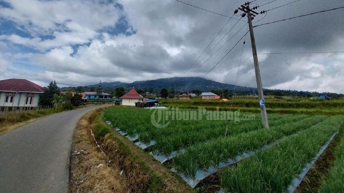 Perbedaan Gunung Merapi di Pulau Jawa dan Gunung Marapi Sumbar: Ketinggian, Jumlah Kawah, & Letusan