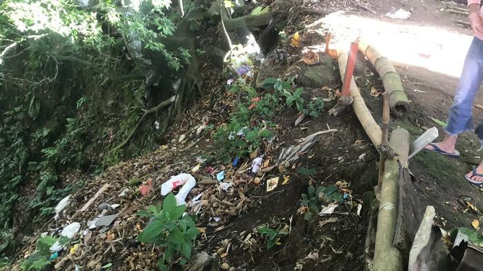 Penemuan Mayat Bayi di Bukittinggi Berada di Dua Lokasi, Warga Ungkap Potongan Kepala Dibawa Anjing