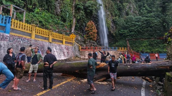 Pohon Tumbang Tutup Jalan Padang–Bukittinggi di Lembah Anai, Petugas Bergerak Cepat