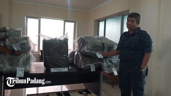 Kronologi Pengungkapan 40 Kilogram Ganja di Pasaman, Dijemput 2 Pemuda dari Aceh ke Sumbar