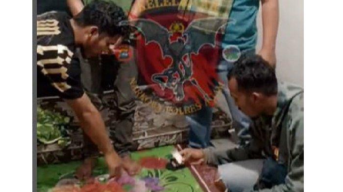 Pelajar 20 Tahun Jadi Bandar Sabu di Agam, 15 Ribu Miligram Barang Bukti Diamankan