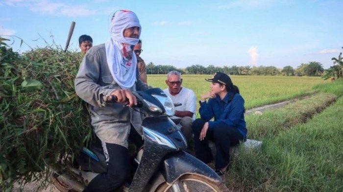 Bupati Annisa Dengar Aspirasi Warga Sendiri, Seriusi Upaya Bumnag hingga Kisah Hadapi Tengkulak