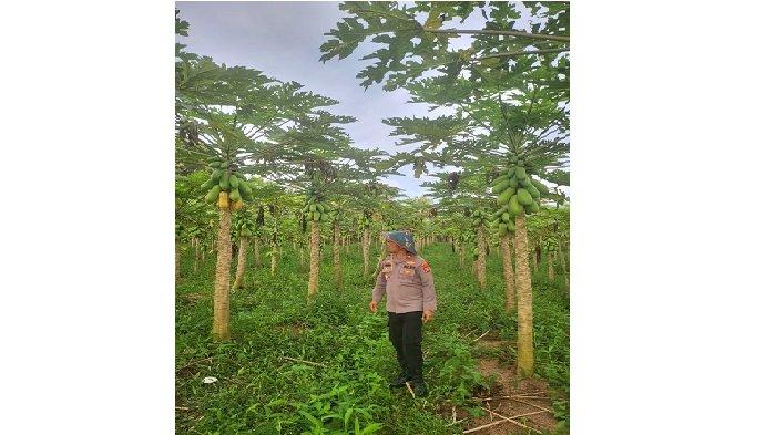 Kisah Kompol Jon Hendri, Wakapolres Pariaman, Dibimbing Petuah Ayah Seorang Tuna Netra