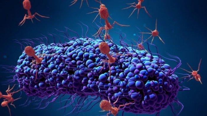 Terungkap Awal Mulanya Virus Corona, Bukan Kelelawar Tapi dari Pasar Seafood Huanan di Wuhan, China