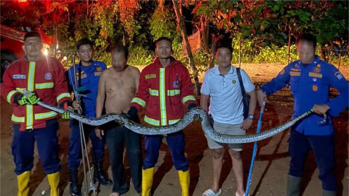 Warga Bungus Padang Kaget Temukan Ular di Atap Kandang Ayam, Langsung Lapor Damkar