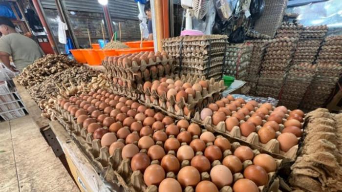 HARGA TELUR AYAM- Tumpukan telur ayam yang dijual pedagang di kawasan Pasar Raya Padang, Kecamatan Padang Barat, Kota Padang, Sumatera Barat, Kamis (11/6/2026). Harga telur kecil saat ini Rp48 ribu per papan, untuk ukuran sedang Rp50.000, dan yang besar Rp52.000.