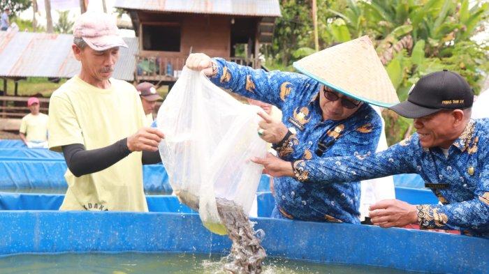 Pj Wali Kota Payakumbuh Lepas, 20 Ribu Bibit Ikan Lele di Pokdakan Lubuak Basamo