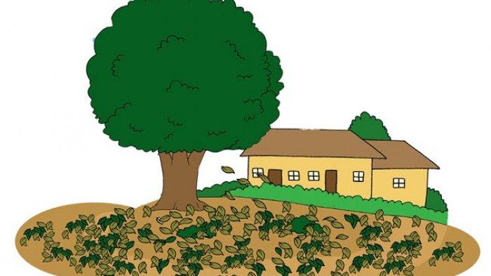 Cobalah Menyelesaikan Soal-soal Berikut, Gunakan Bilangan Sampai 1.000