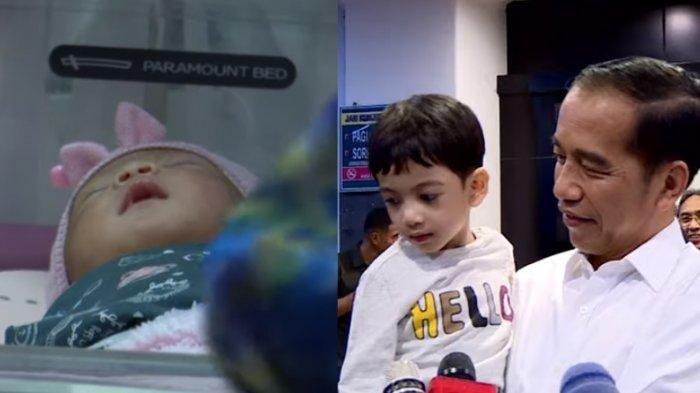 Inilah Makna Kata 'La' di Nama La Lembah Manah Cucu Ke-3 Presiden Jokowi