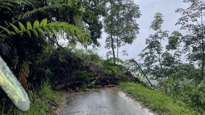 TANAH LONGSOR- Penampakan materia longsor di Jorong Subarang Air, Nagari Salareh Aia Timur, Kecamatan Palembayan, Kabupaten Agam, Senin (24/11/2025). Kabid Kedaruratan dan Logistik BPBD Agam, Abdul Ghafur sebut longsor hambat akses jalan dengan ketinggian capai 2,5 meter.