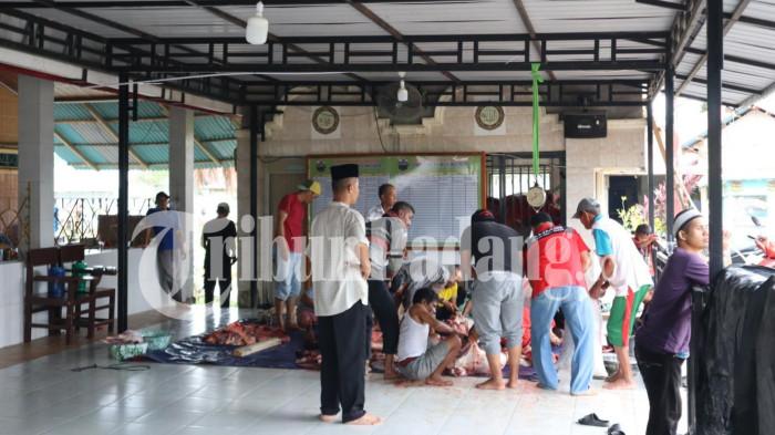 penyembelihan hewan kurban tarekat naqsabandiyah 25/5/2026