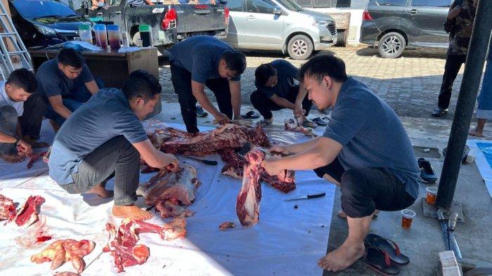 Rayakan Idul Adha, PLN Distribusikan 36 Hewan Kurban untuk Masyarakat Sumbar