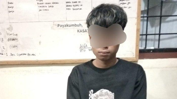 Gegara Beli Ganja Rp 50 Ribu, Pemuda 17 Tahun di Payakumbuh Diringkus Polisi