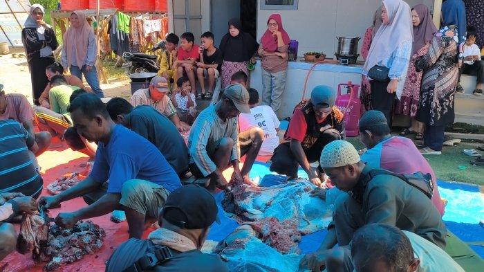 IDUL ADHA 2026- Momen kekompakan penyintas banjir bandang dalam melakukan prosesi pemotongan hewan kurban di huntara Kapalo Koto, Kecamatan Pauh, Kota Padang, Rabu (27/5/2026).