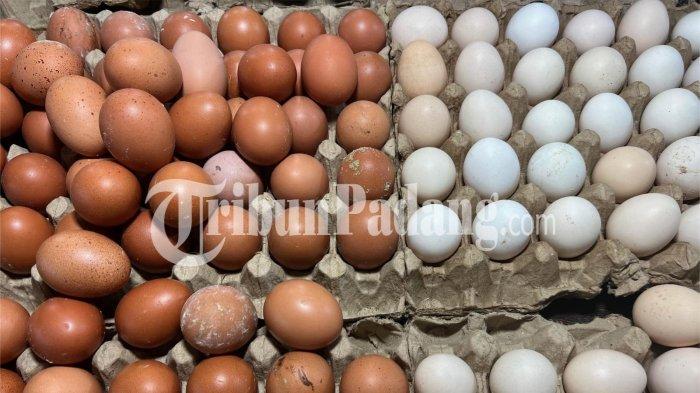 HARGA TELUR- Penampakan telur itik dan telur di salah satu lapak pedagang yang ada di kawasan Pasar Raya Padang, Kecamatan Padang Barat, Kota Padang, Kamis (19/2/2026).
