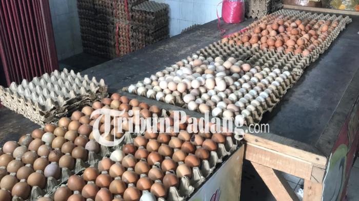 telur ayam ras di pasar raya padang 29/12/2025