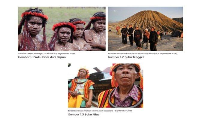 Ada Berapa Paragraf pada Teks “Suku Bangsa di Indonesia”? Ini Jawaban Tema 7 Kelas 4 Halaman 2 dan 3