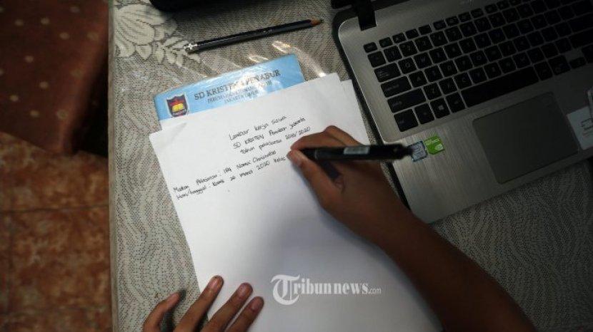 Tribun