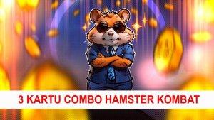 3-kartu-combo-hamster-kombat-hari-Jumat-19-Juli-2024.jpg