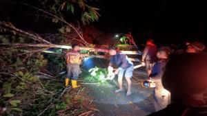 ANGIN-KENCANG-Angin-kencang-mengakibatkan-puluhan-pohon.jpg