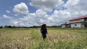 Akibat-jebolnya-bendungan-Siacauang-Kiri-yang-du-249d-d.jpg
