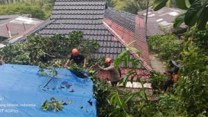 BPBD-memastikan-tidak-ada-korban-jiwa-mas.jpg