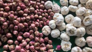 Bawang-merah-di-Pasar-Inpres-Sijunjung-10102025.jpg
