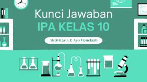 Di-halaman-165-buku-IPA-Kelas-10-Kurikulum-Merdeka-Edisi-Revisi-terdapat-Aktivitas-55.jpg