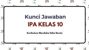 Di-halaman-187-buku-IPA-Kelas-10-Kurikulum-Merdeka-Edisi-Revisi.jpg
