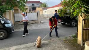 Evakuasi-anjing-di-Padang-28102025.jpg