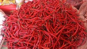 HARGA-BAHAN-POKOK-Tumpukan-cabai-merah-keriting1.jpg