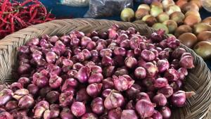 HARGA-BAWANG-MERAH-Harga-bawang-mfsar-Sijuf-25-ribu-sekilo.jpg