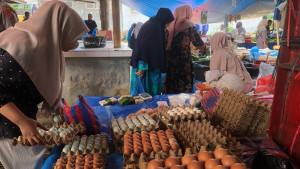 HARGA-TELUR-Hargasari-Muaro-Kecs31102025.jpg