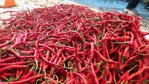 Harga-Cabai-Merah-di-Pasar-Sijunjung-1892025.jpg