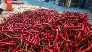 Harga-cabai-merah-di-Pasara-Sijunjung-1892025.jpg