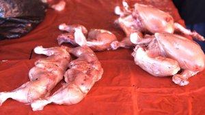 Harga-daging-ayam-potong-di.jpg