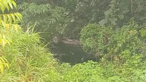 KECELAKAAN-LALU-LINTAS-Penampdedalam-10-meter-di-d-sedalam-10-meter.jpg