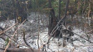 Kebakaran-Hutan-Lindung-di-Padang-2-2162025.jpg