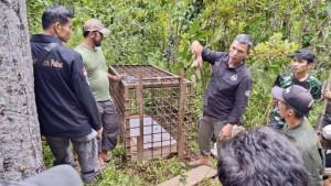 Kondisi-di-Nagari-Persiapan-Batang-Lolo-Kecamatan-Koto-Parik-Gadang-Diateda.jpg